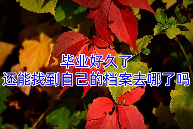 毕业好久了还能找到自己的档案去哪了吗