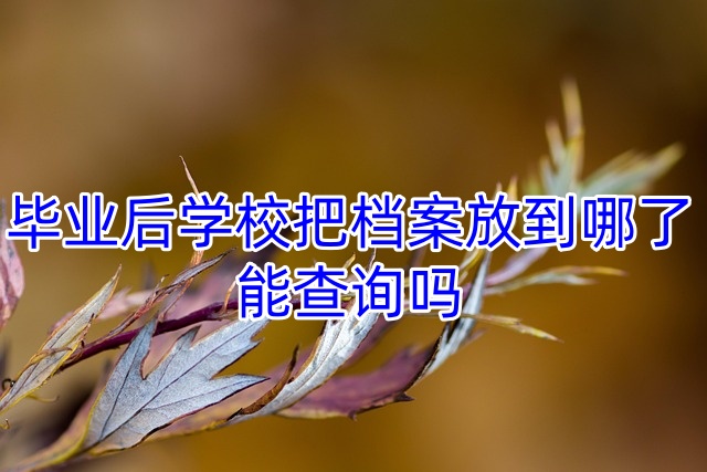 毕业后学校把档案放到哪了能查询吗