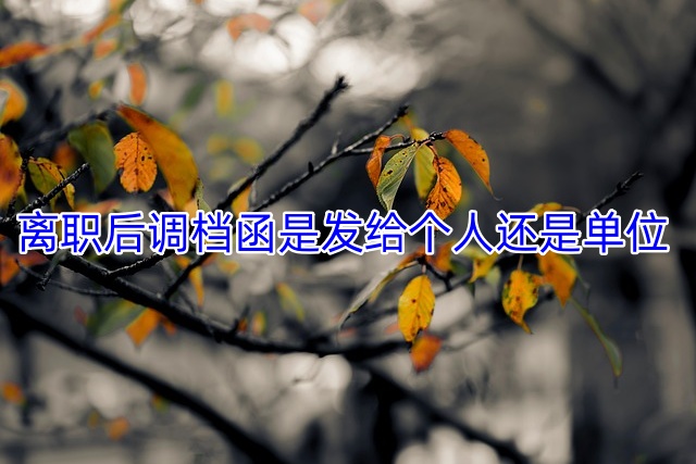 离职后调档函是发给个人还是单位