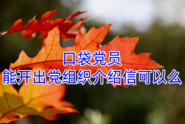 口袋党员能开出党组织介绍信可以么