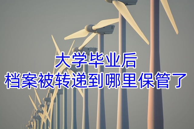 大学毕业后档案被转递到哪里保管了