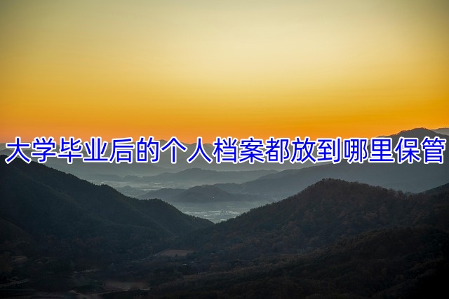 大学毕业后的个人档案都放到哪里保管