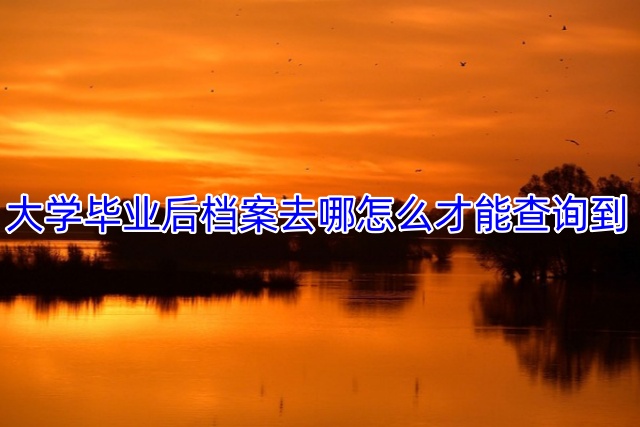 大学毕业后档案去哪怎么才能查询到