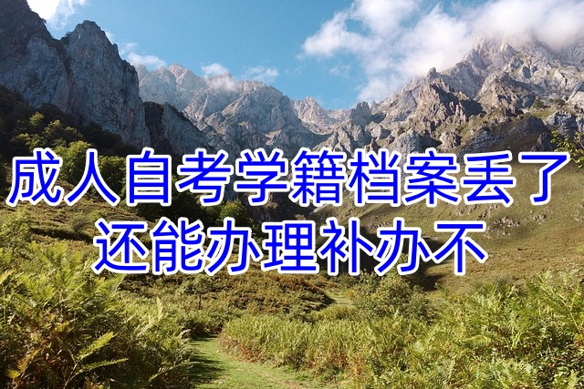 成人自考学籍档案丢了还能办理补办不