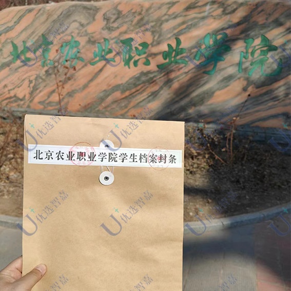 学生档案密封条的办理流程是什么