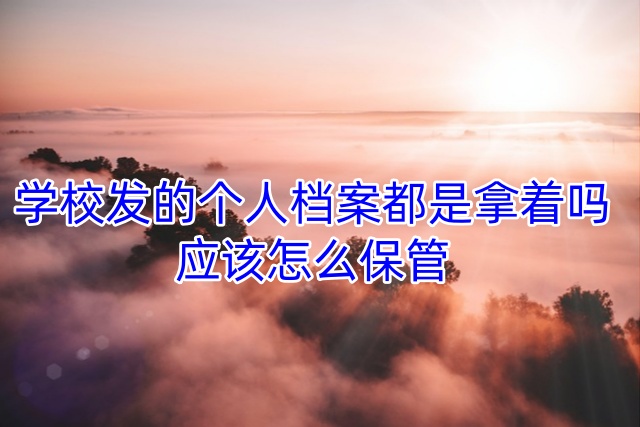 学校发的个人档案都是拿着吗，应该怎么保管