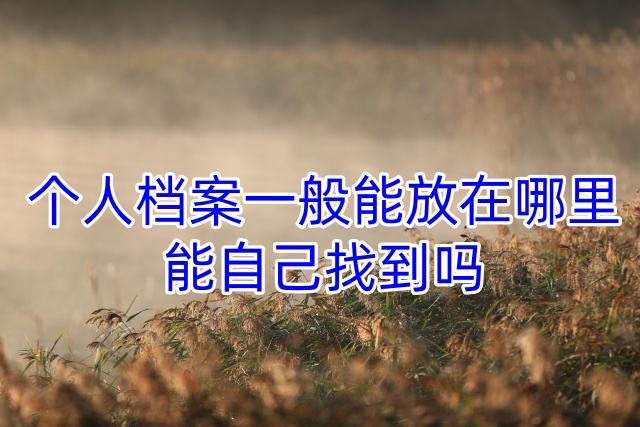 个人档案一般能放在哪里，能自己找到吗