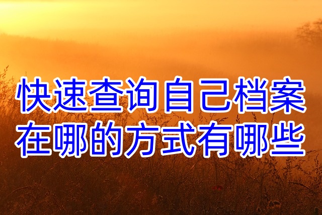 快速查询自己档案在哪的方式有哪些