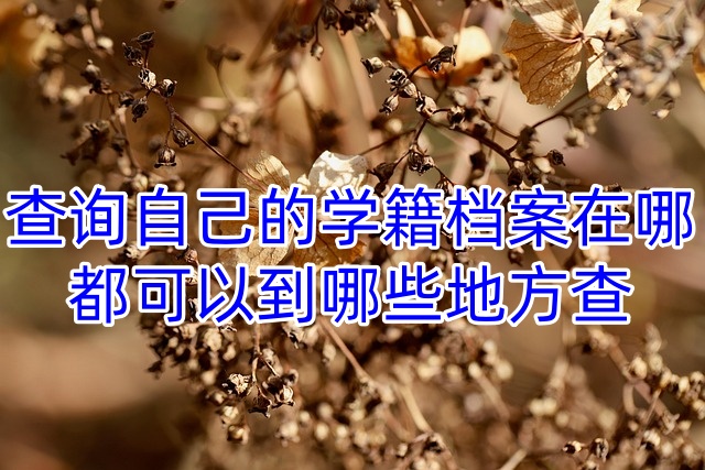 查询自己的学籍档案在哪，都可以到哪些地方查