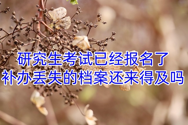 研究生考试已经报名了，补办丢失的档案还来得及吗
