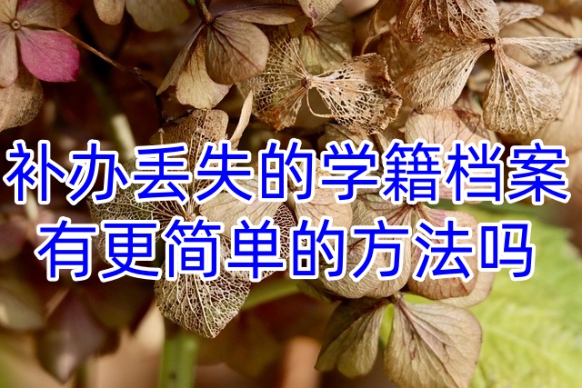 补办丢失的学籍档案有更简单的方法吗