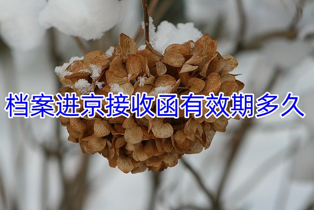 档案进京接收函有效期多久