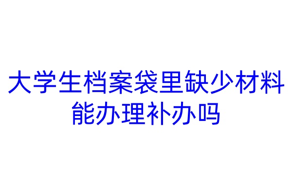 大学生档案袋里缺少材料能办理补办吗