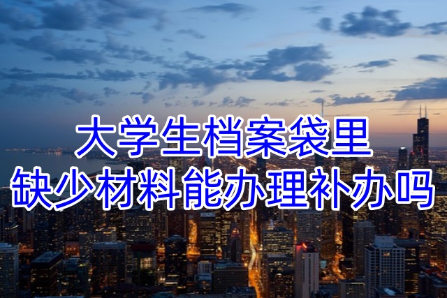 大学生档案袋里缺少材料能办理补办吗