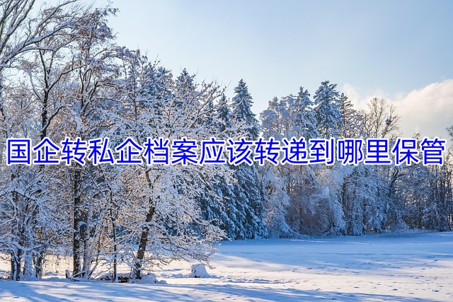国企转私企档案应该转递到哪里保管