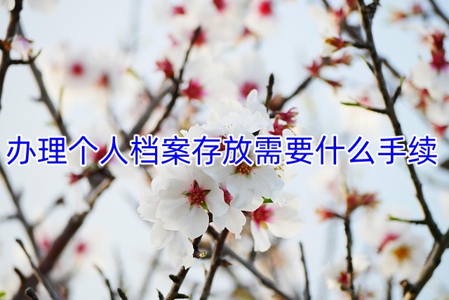 办理个人档案存放需要什么手续