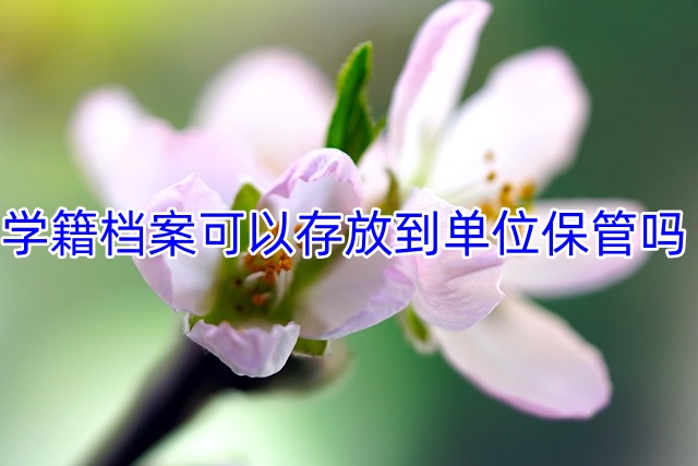 学籍档案可以存放到单位保管吗