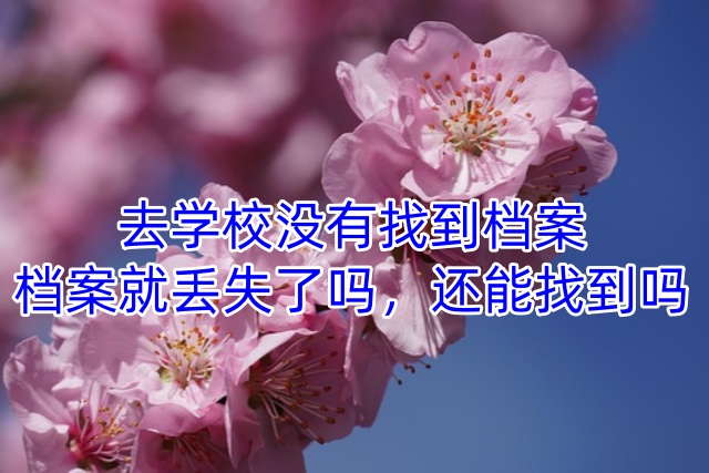 去学校没有找到档案，档案就丢失了吗，还能找到吗