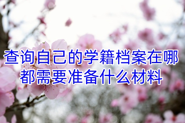 查询自己的学籍档案在哪，都需要准备什么材料