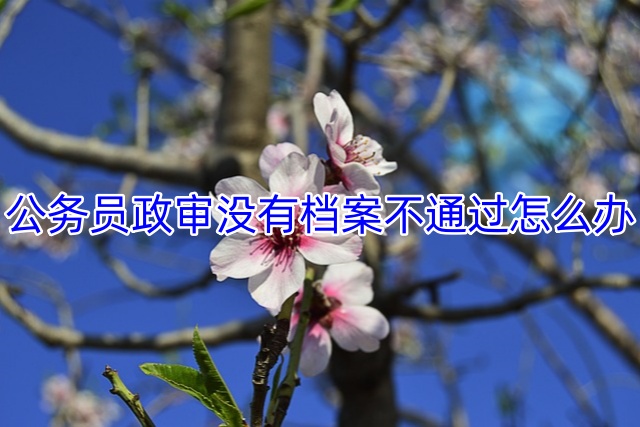 公务员政审没有档案不通过怎么办