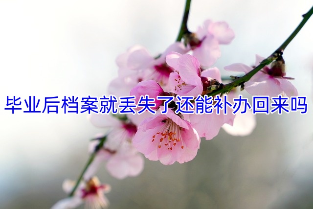 毕业后档案就丢失了还能补办回来吗