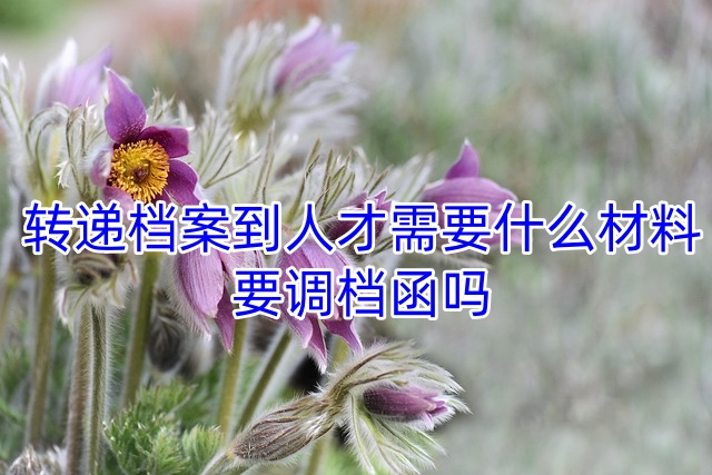转递档案到人才需要什么材料，要调档函吗