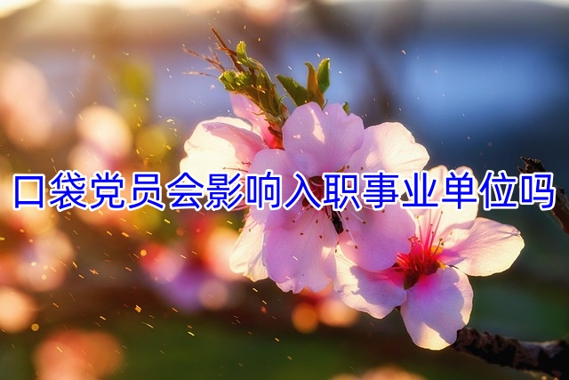 口袋党员会影响入职事业单位吗