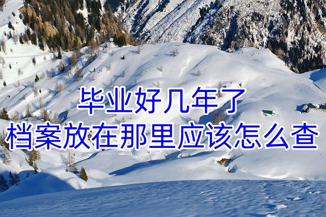 毕业好几年了档案放在那里应该怎么查