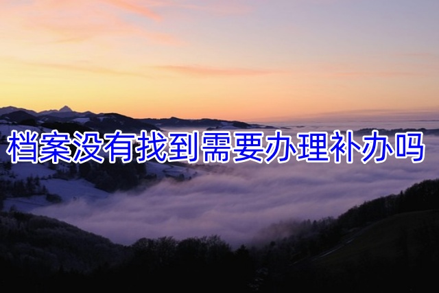 档案没有找到需要办理补办吗