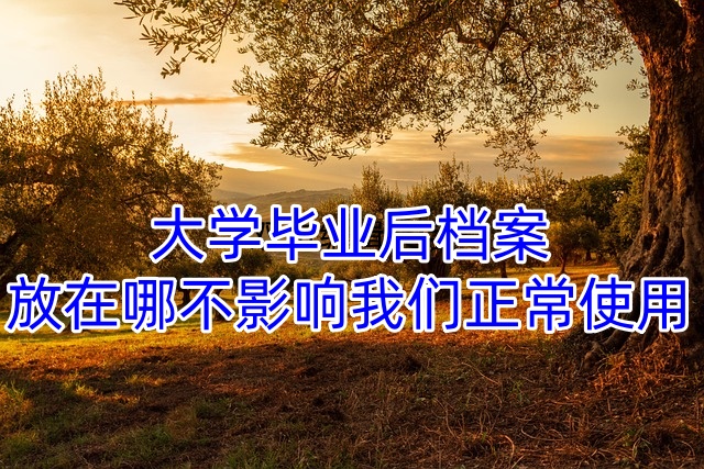 大学毕业后档案放在哪不影响我们正常使用