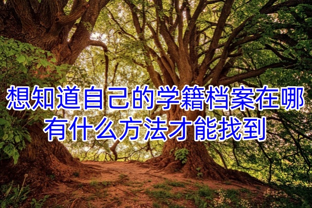 想知道自己的学籍档案在哪，有什么方法才能找到