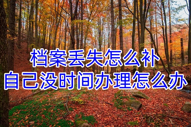 档案丢失怎么补，自己没时间办理怎么办