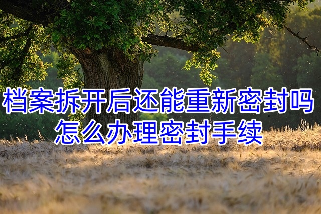 档案拆开后还能重新密封吗，怎么办理密封手续