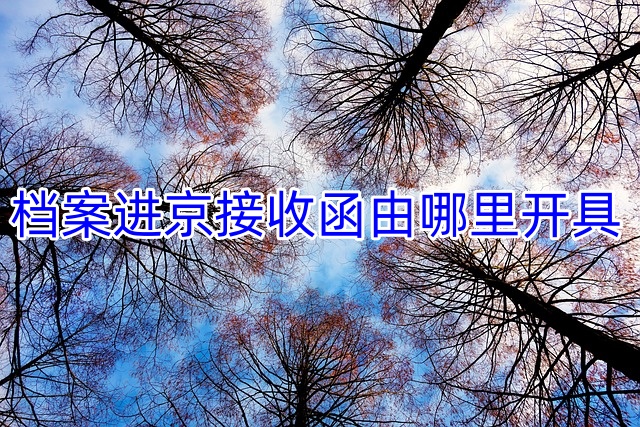 档案进京接收函由哪里开具