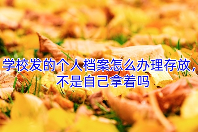 学校发的个人档案怎么办理存放，不是自己拿着吗
