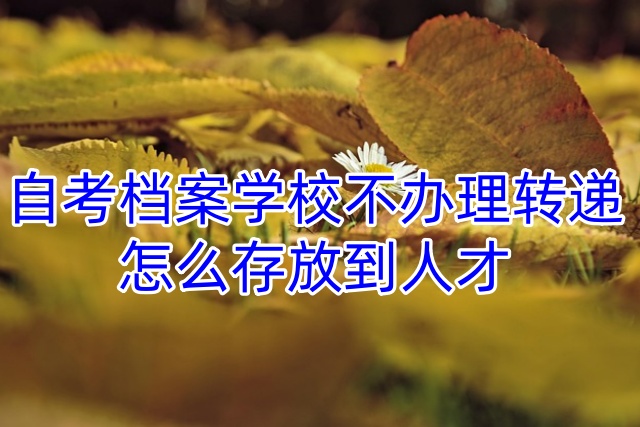 自考档案学校不办理转递，怎么存放到人才