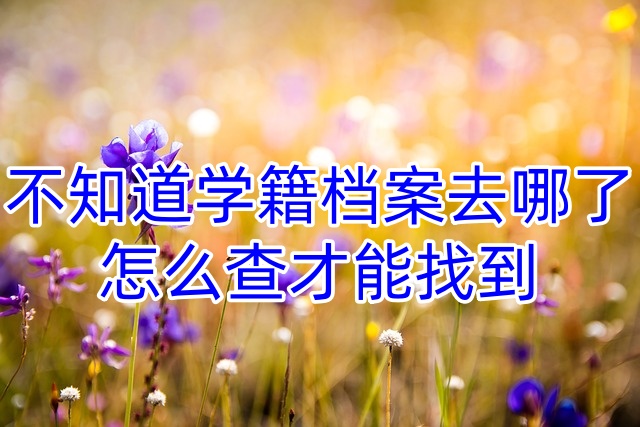 不知道学籍档案去哪了，怎么查才能找到