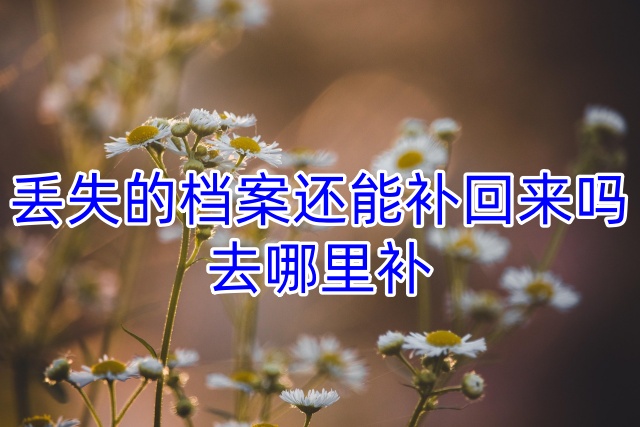 丢失的档案还能补回来吗，去哪里补