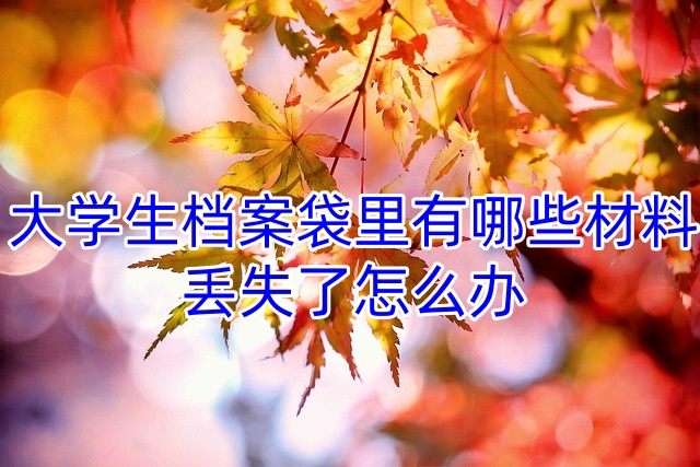 大学生档案袋里有哪些材料，丢失了怎么办