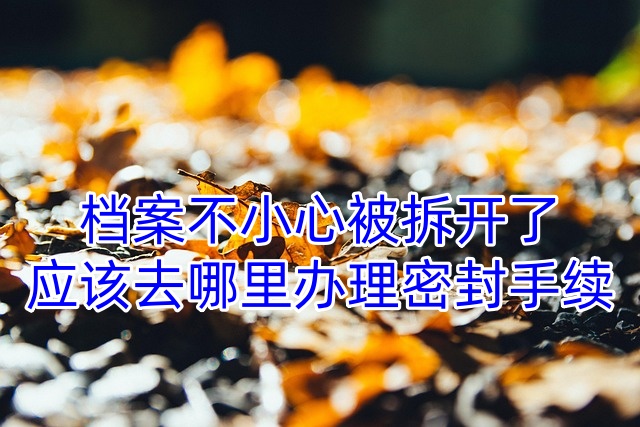 档案不小心被拆开了，应该去哪里办理密封手续