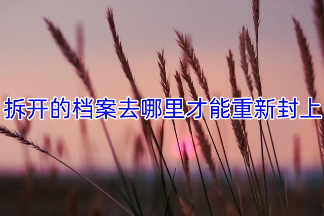 拆开的档案去哪里才能重新封上
