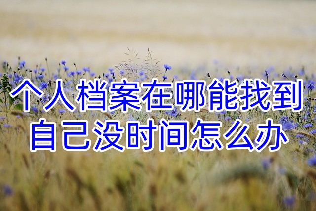 个人档案在哪能找到，自己没时间怎么办