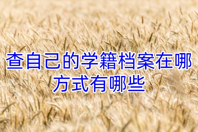 查自己的学籍档案在哪，方式有哪些
