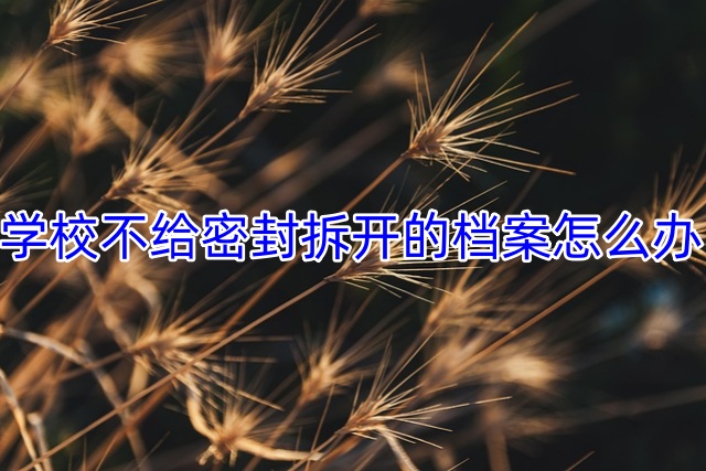 学校不给密封拆开的档案怎么办