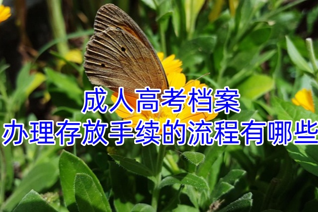 成人高考档案办理存放手续的流程有哪些