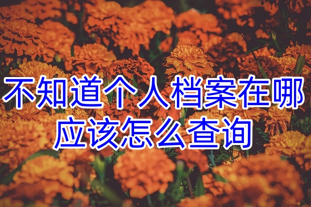 不知道个人档案在哪应该怎么查询