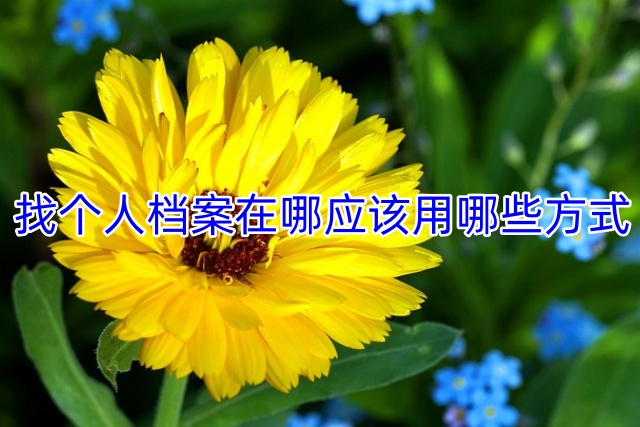 找个人档案在哪应该用哪些方式