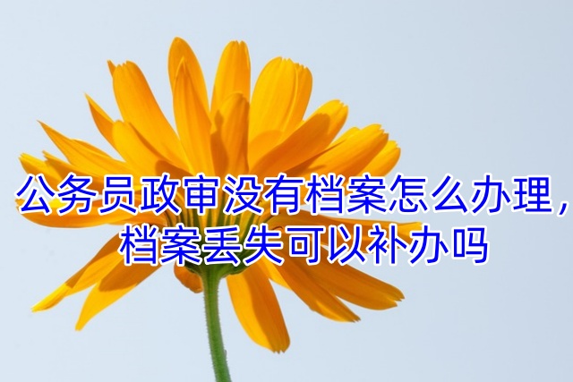 公务员政审没有档案怎么办理，档案丢失可以补办吗