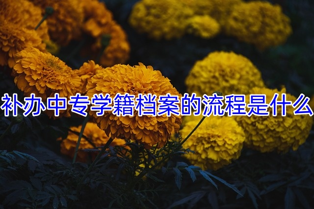 补办中专学籍档案的流程是什么