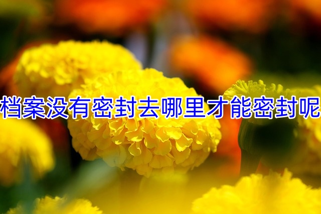 档案没有密封去哪里才能密封呢